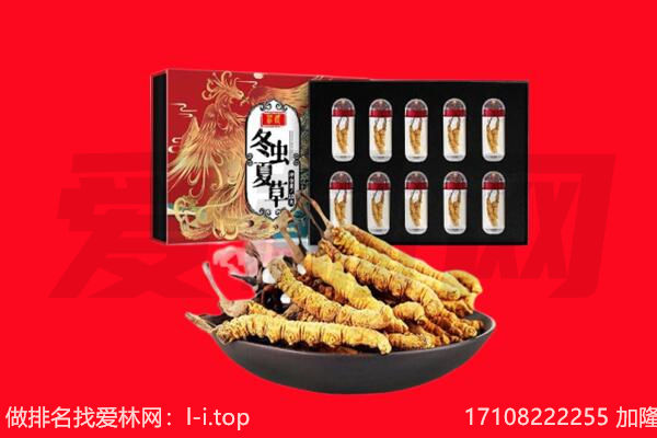 梧州藤县回收虫草.jpg